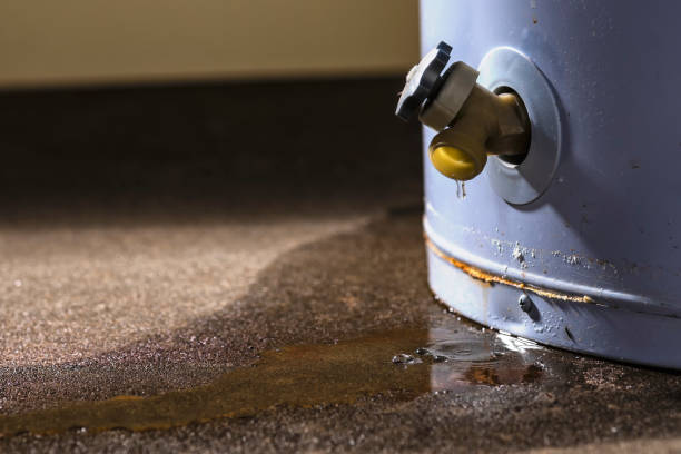 Best Mold removal after water damage  in Farmington, MO