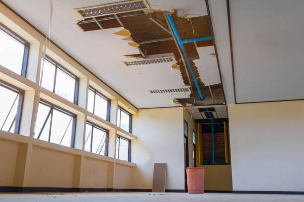 Best Flood damage cleanup  in Farmington, MO