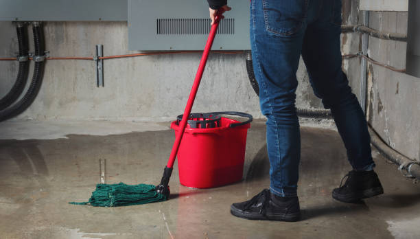 Best Water damage restoration cost  in Farmington, MO