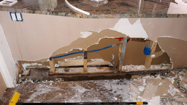 Best Carpet water damage restoration  in Farmington, MO