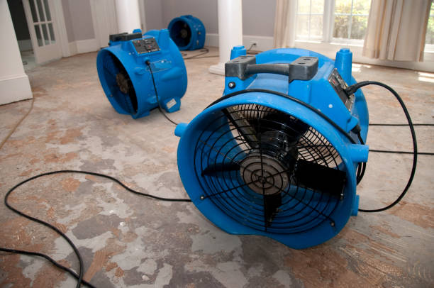 Best Local water damage restoration  in Farmington, MO