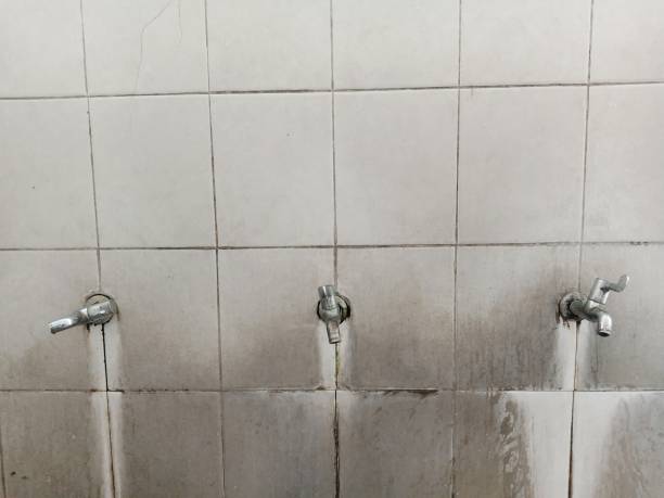 Best Fire Damage Restoration  in Farmington, MO