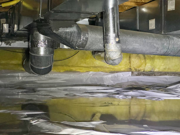 Best Professional water damage repair  in Farmington, MO