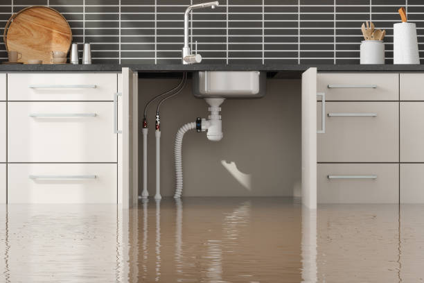 Best Water damage restoration near me  in Farmington, MO