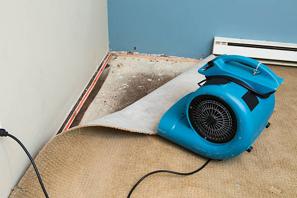 Best Water damage repair service  in Farmington, MO